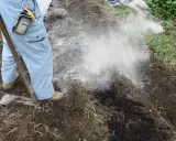Osoba rozsypuje wapno na grządce, co daje glebie lepszą strukturę i odżywienie.