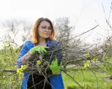Kobieta w zielonych rękawiczkach zbiera gałęzie po wycince drzew. Zastanawia się, co zrobić z gałęziami, by je kreatywnie wykorzystać.