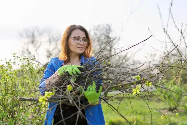 Kobieta w zielonych rękawiczkach zbiera gałęzie po wycince drzew. Zastanawia się, co zrobić z gałęziami, by je kreatywnie wykorzystać.