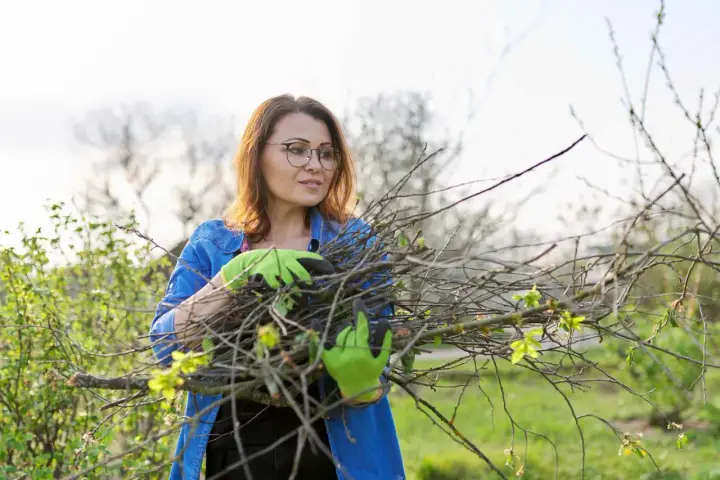 Kobieta w zielonych rękawiczkach zbiera gałęzie po wycince drzew. Zastanawia się, co zrobić z gałęziami, by je kreatywnie wykorzystać.